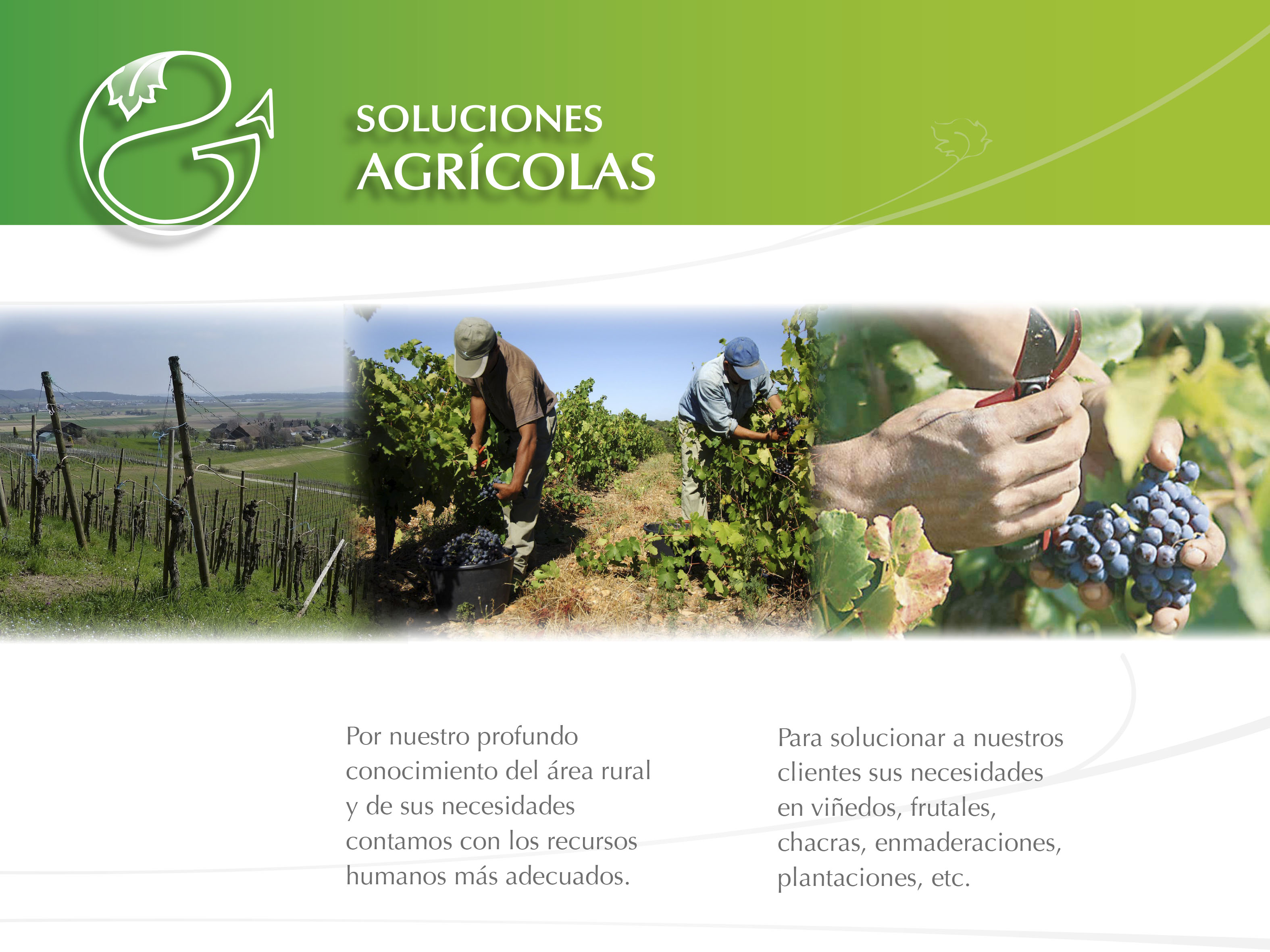 informacion soluciones agricolas