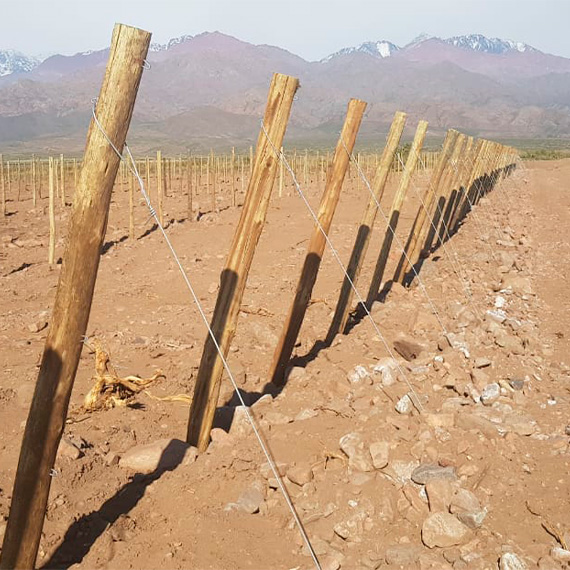 Enmaderacion 570x570